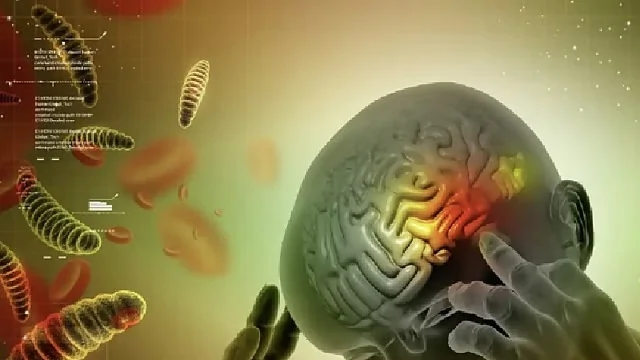 brain eating amoeba 1 மூளையை உண்ணும் அமீபா!. தொடர்ந்து அதிகரிக்கும் பலி எண்ணிக்கை!. கேராளவில் மேலும் 2 பேர் பலி!. எவ்வாறு பரவுகிறது?. தடுப்பு நடவடிக்கை என்ன?
