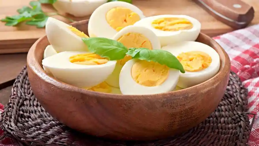 eating eggs weight gain 1 eating eggs weight gain 1