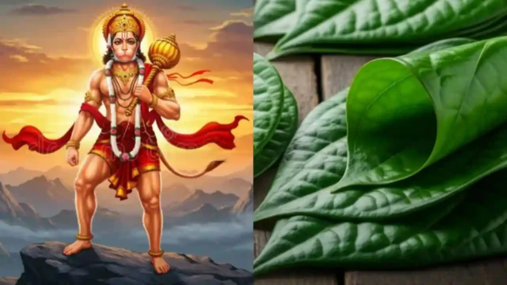 அனுமனுக்கு உகந்த சனிக்கிழமை வழிபாடு!. வெற்றிலை மாலை தரும் வெற்றி!. எத்தனை வைத்து கட்டலாம்?.