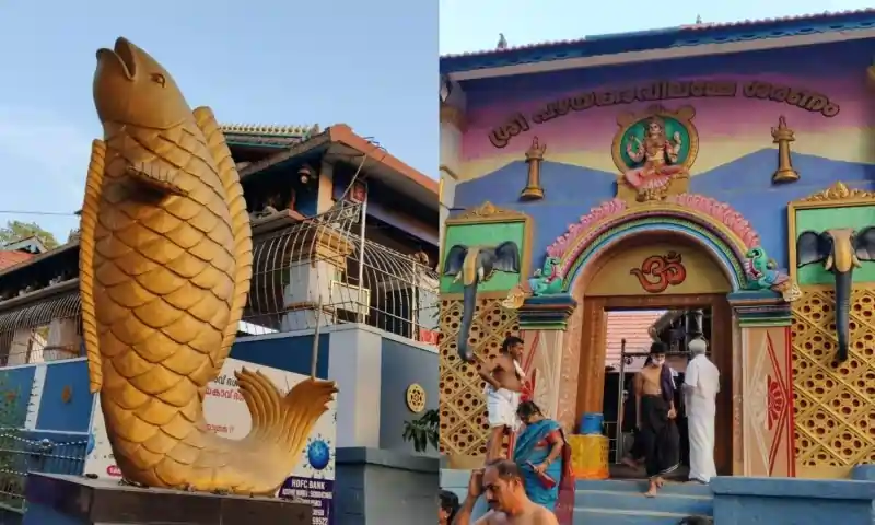 meen kulathi bagavathi temple மீன்குளத்தி பகவதி அம்மனாக அருள் பாலிக்கும் மதுரை மீனாட்சி.. பிரம்மிக்க வைக்கும் ஸ்தல வரலாறு..!!