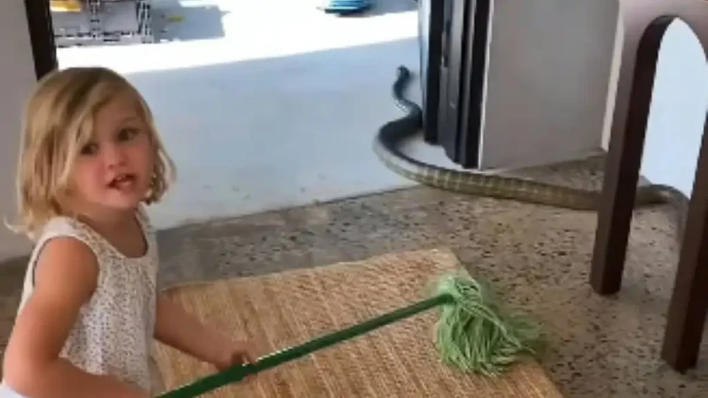 துளிகூட பயமே இல்ல.. வீட்டுக்குள் நுழைந்த பாம்பை மாப் குச்சியால் விரட்டிய குழந்தை.. அசர வைக்கும் வைரல் வீடியோ!