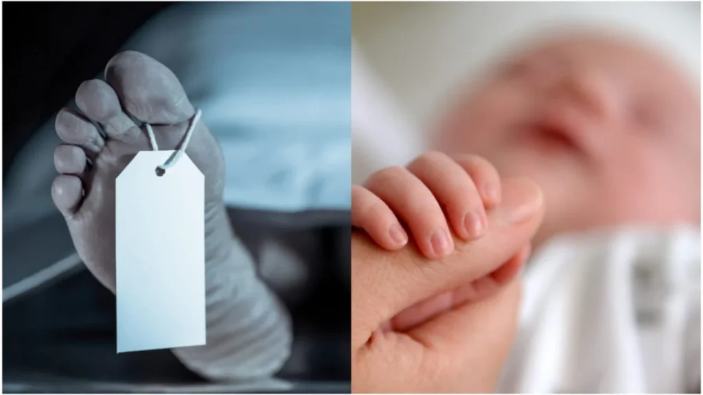 south korea suicide birth rates south korea suicide birth rates