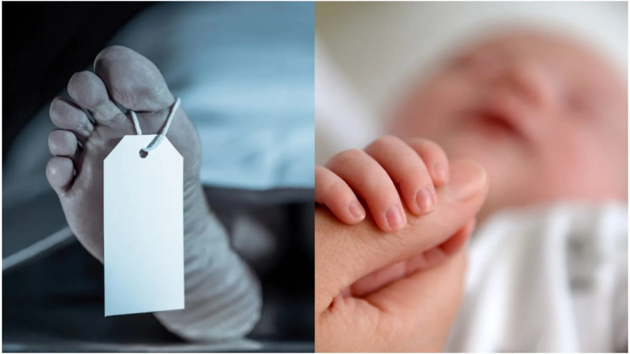 south korea suicide birth rates