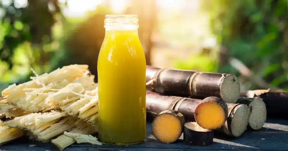 sugarcane 1 ஒரு கிளாஸ் கரும்பு சாறு சர்க்கரை அளவை எவ்வளவு அதிகரிக்கும்..? தெரிந்தால் ஷாக் ஆகிடுவீங்க..