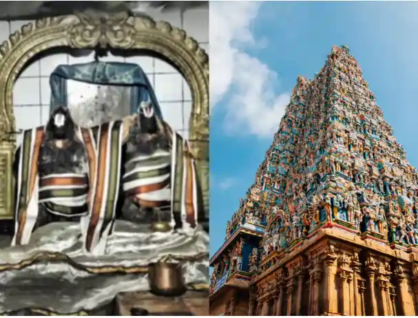 temple 7 temple 7
