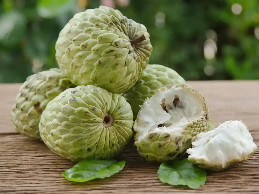 Custard Apple Benefits