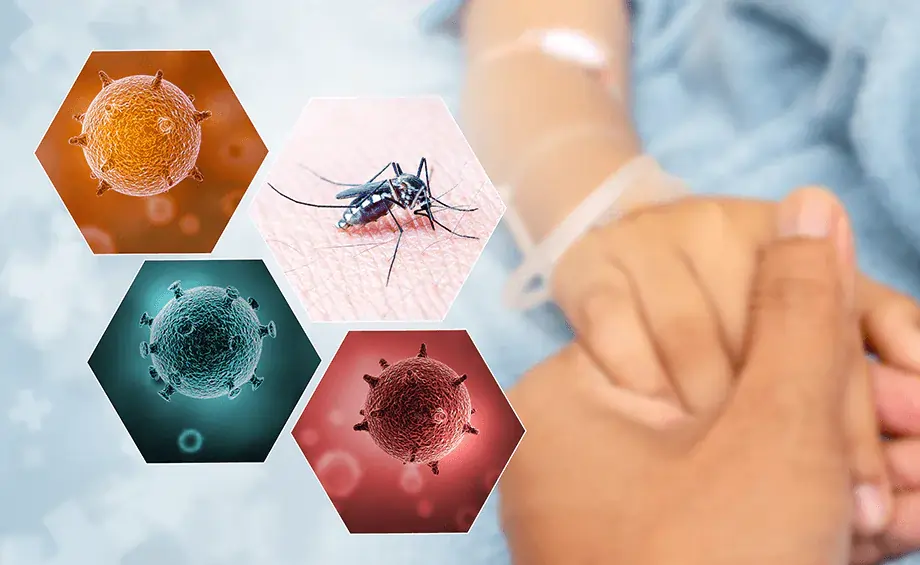 Dengue 2025 Dengue 2025