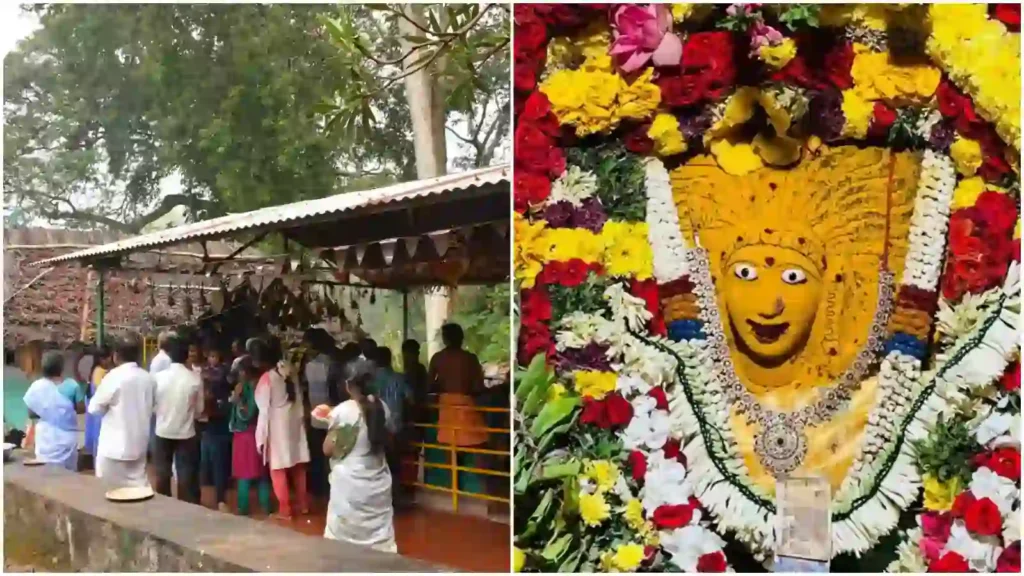 Kollimalai 2025 18 சித்தர்களால் அமைக்கப்பட்ட எட்டுக்கை அம்மன் கோயில்..!! பூமிக்கு கீழ் நோக்கிச் செல்லும் படிகள்..!! தமிழ்நாட்டில் இப்படி ஒரு அதிசயமா..?