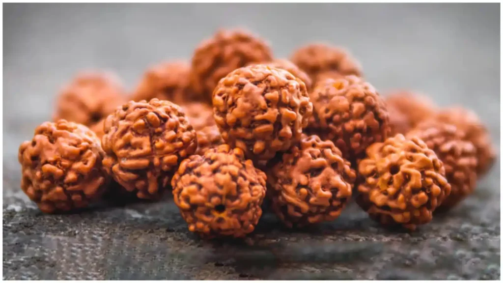 Rudraksha 2025 எங்கெல்லாம் ருத்ராட்சை அணிந்து செல்லக் கூடாது..? மீறினால் பின்விளைவுகளை சந்திக்க நேரிடும்..!!