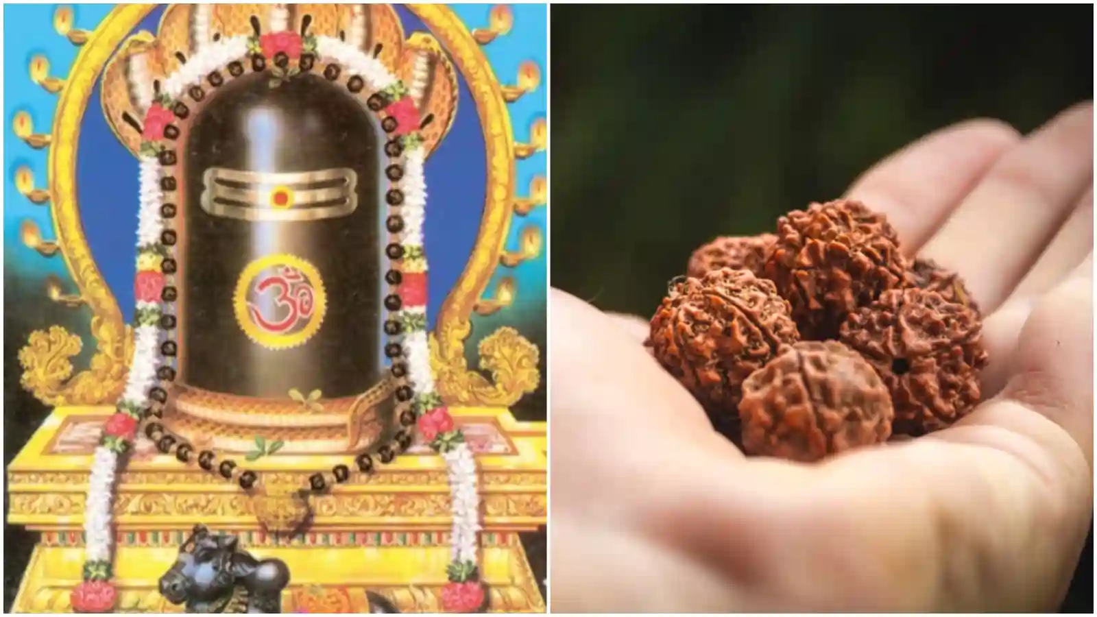 Shiva 2025 Shiva 2025