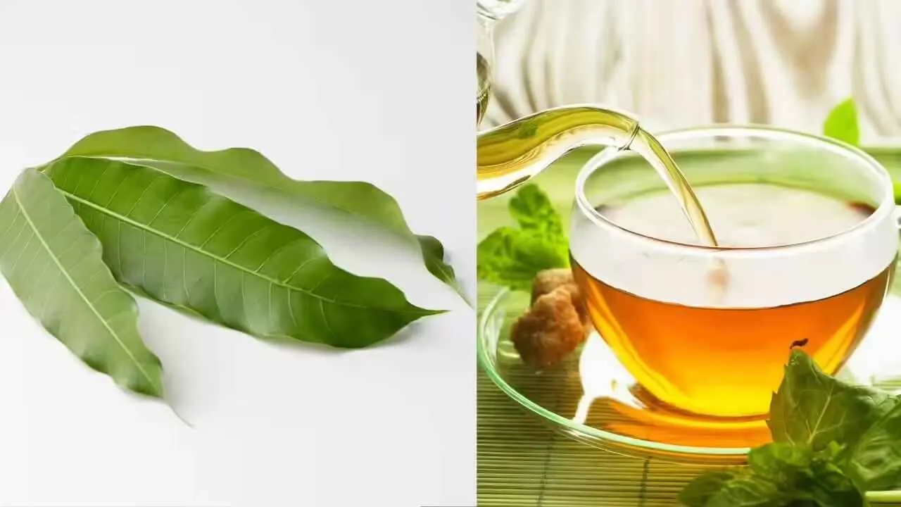 Tea 2025 Tea 2025