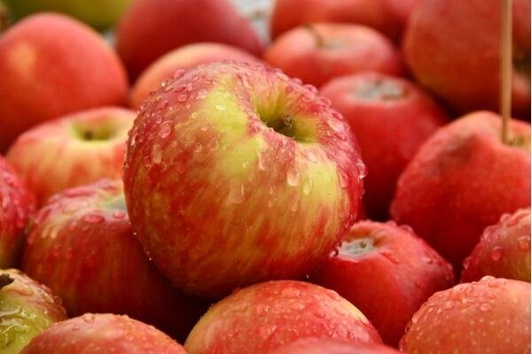 apple 1 apple 1