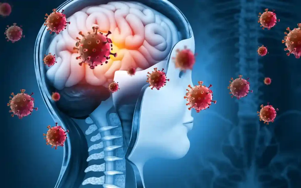 brain 1 கோவிட் விந்தணுக்களில் மாற்றங்களை ஏற்படுத்தும்.. குழந்தையின் மூளை வளர்ச்சியைப் பாதிக்கலாம்: ஆய்வில் அதிர்ச்சி தகவல்!
