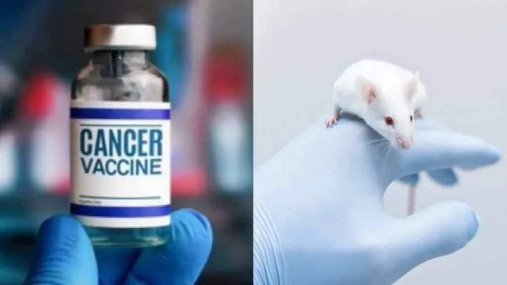 cancer vaccine US கேன்சர் தொடங்குவதற்கு முன்பே அழிக்கும் திறன் வாய்ந்த “சூப்பர் தடுப்பூசி”!. அமெரிக்க விஞ்ஞானிகள் அசத்தல்!. எப்போது பயன்பாட்டுக்கு வரும்?.