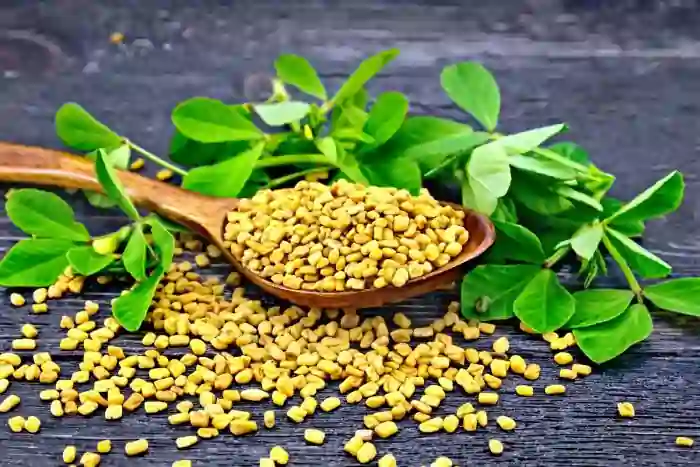 fenugreek n வெந்தயத்தில் மறைந்திருக்கும் ஆரோக்கிய ரகசியம்.. இப்படி பயன்படுத்தினால் எந்த பிரச்சனையும் இருக்காது!