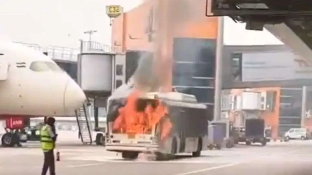 fire 1761641919 fire 1761641919