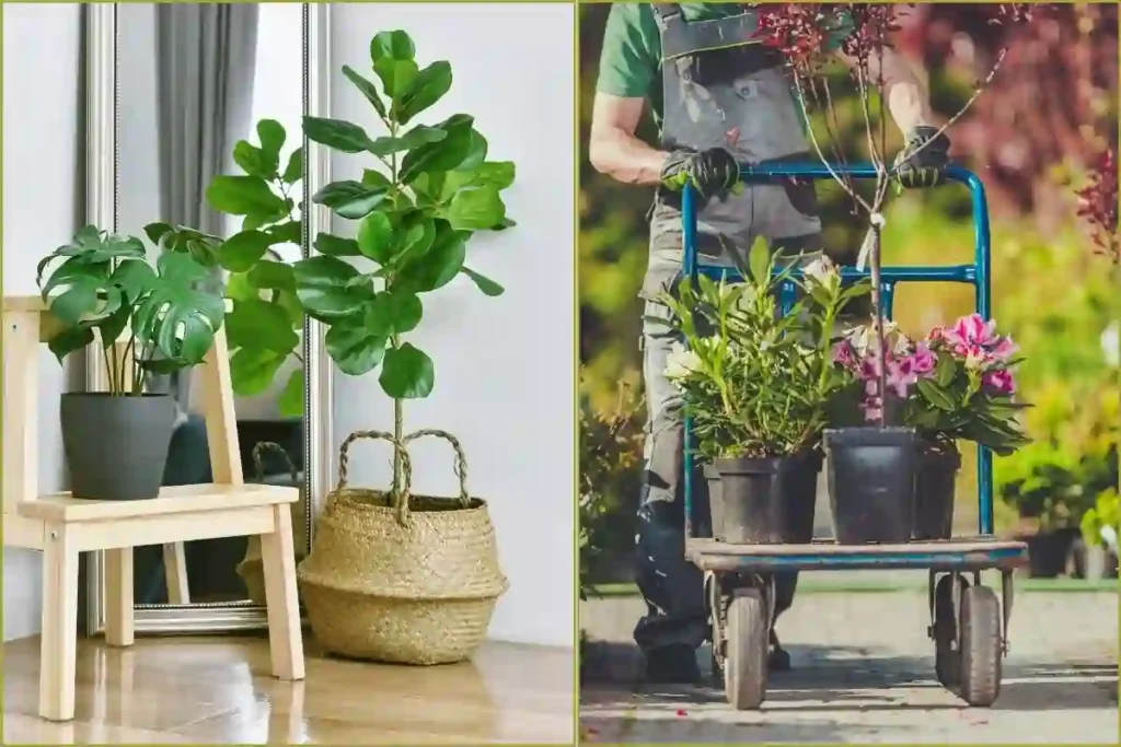 flower plants vastu tips இந்த 5 பூ செடிகளை உங்கள் வீட்டில் நட்டு வையுங்கள்!. அன்பு அதிகரிக்கும்!. அதிர்ஷ்டம் பிரகாசிக்கும்!. செல்வம் கொட்டும்!.