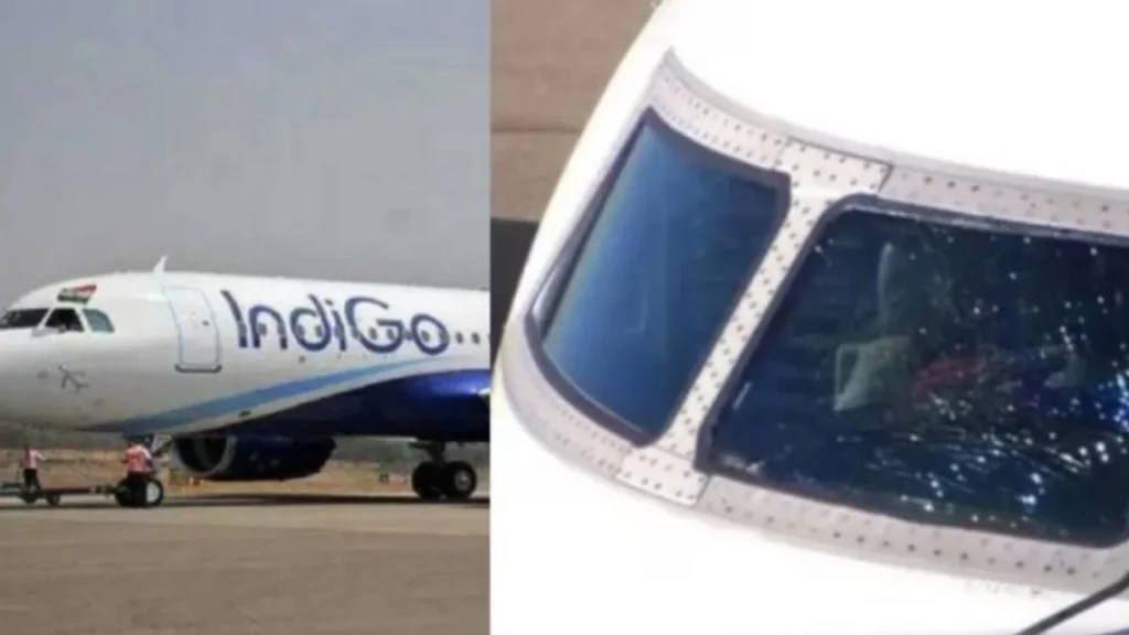 indigo flight Crack indigo flight Crack