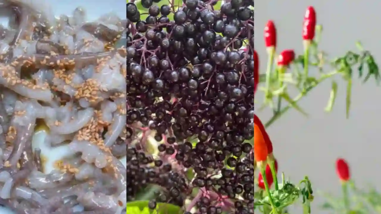 most dangerous foods