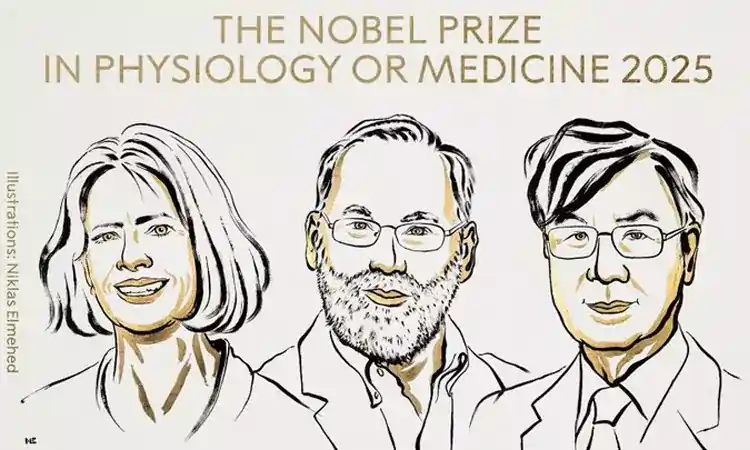 nobel prize nobel prize