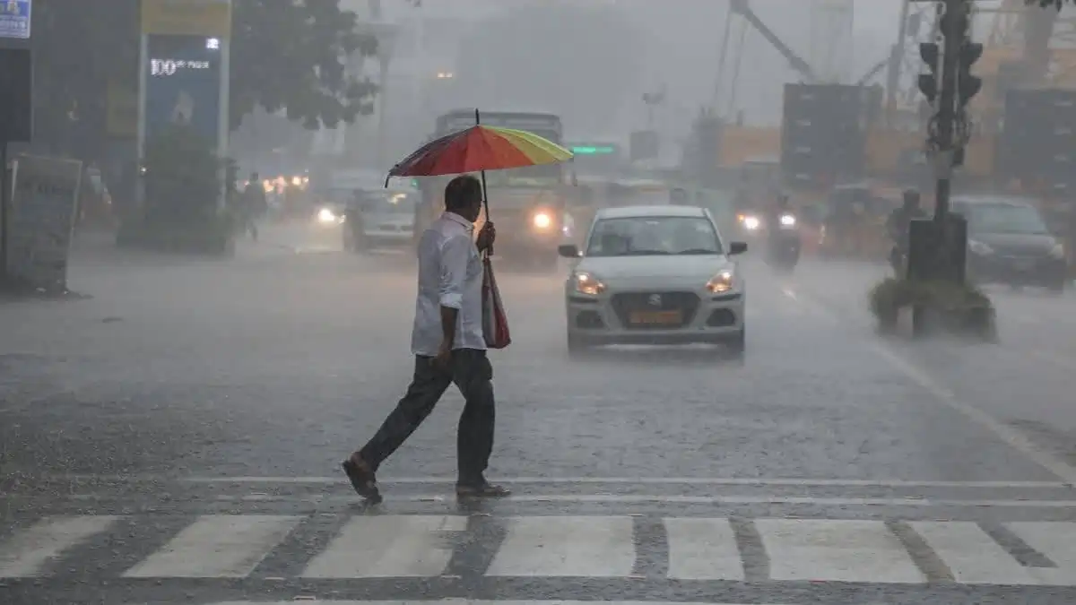 tn rains new tn rains new