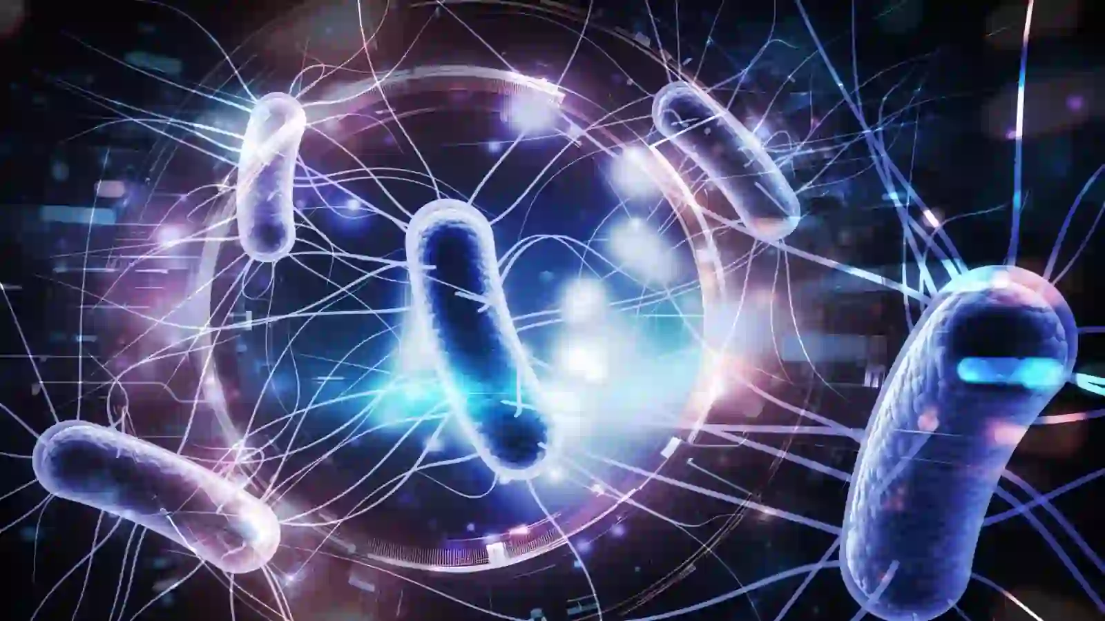 New bacterial therapy