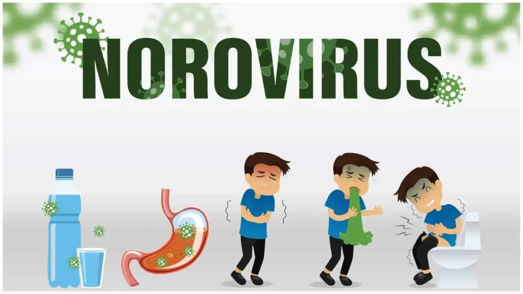 Norovirus 2025