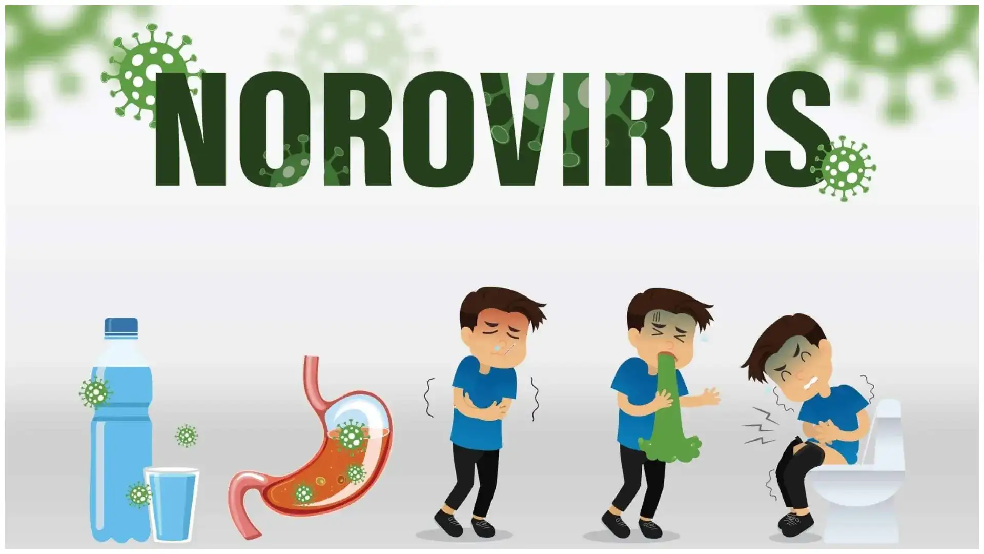 Norovirus 2025 Norovirus 2025