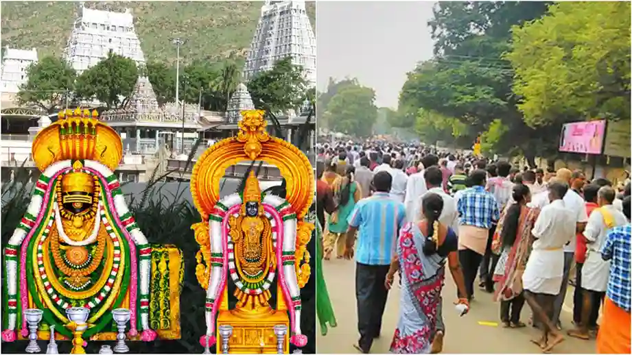 Thiruvannamalai 2025 1