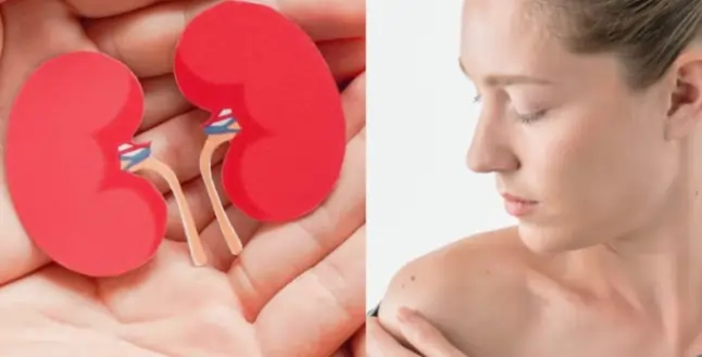 தோலில் அரிப்பு வந்தால் ஒவ்வாமை இல்லை.. கிட்னி பிரச்சனையின் ஆரம்ப அறிகுறிகளா இருக்கலாம்..! – மருத்துவர் வார்னிங்..