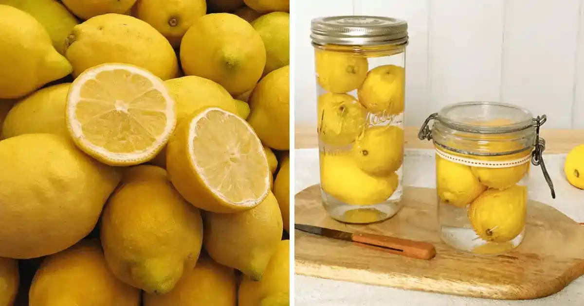 lemon storage