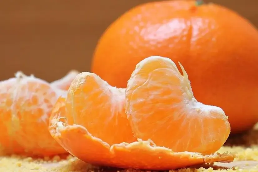 orange 2024 01 7ff6981aa330752d795d5fbda7998119 3x2 1 orange 2024 01 7ff6981aa330752d795d5fbda7998119 3x2 1