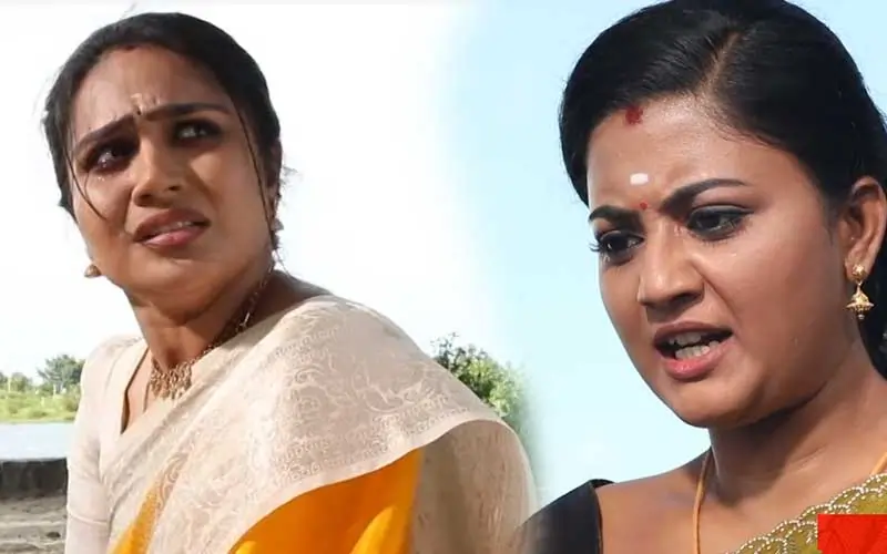 சிறகடிக்க ஆசை: அனைவரும் ஆவலோடு எதிர்பார்த்த அந்த தருணம்.. வசமா சிக்கிய ரோகிணி..! மீனா செய்ய போவது என்ன..?