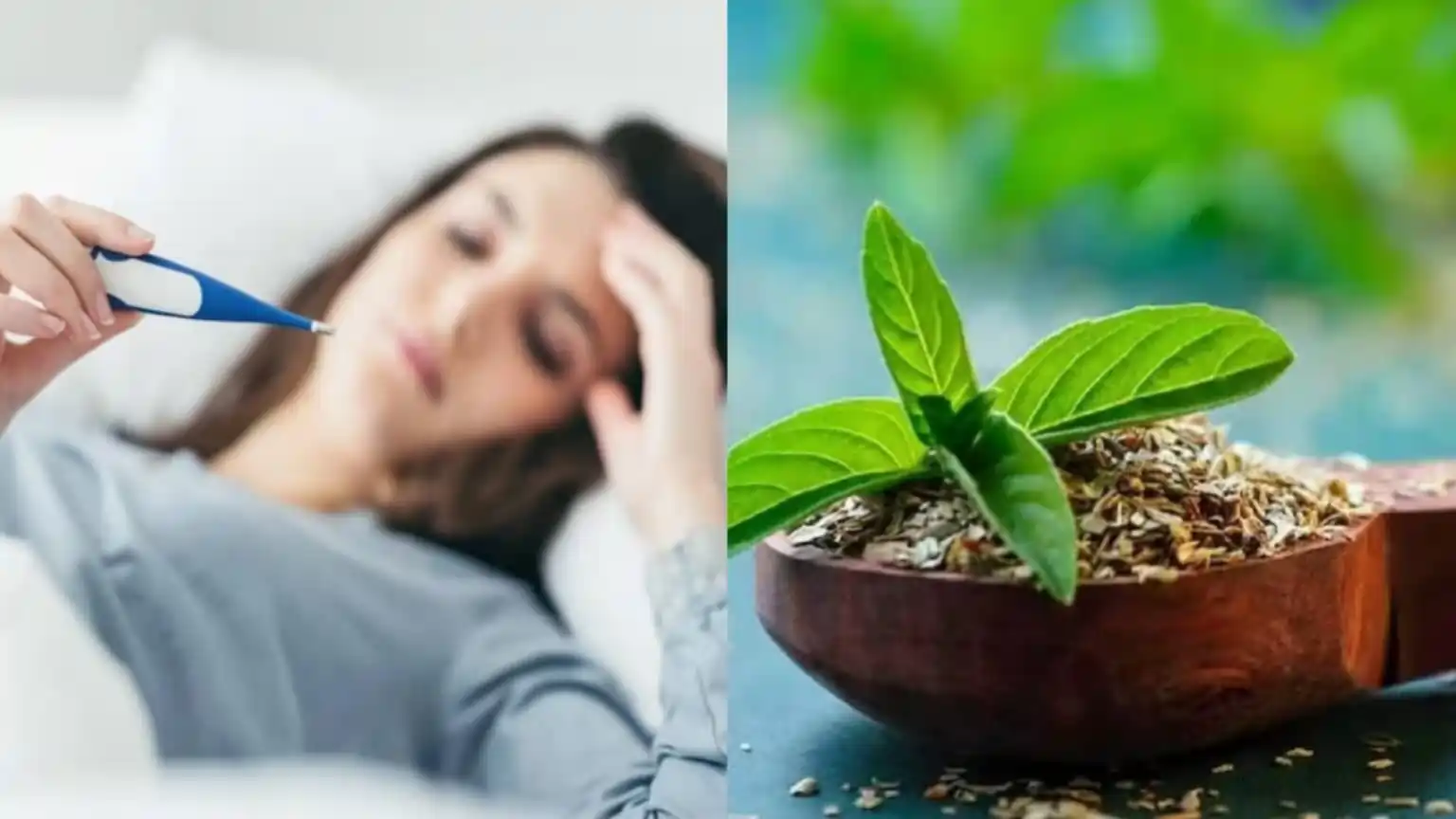 winter season fever winter season fever