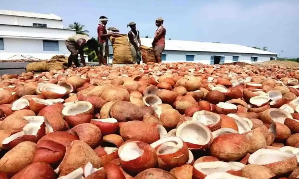 தேங்காய் விவசாயிகளுக்கு மத்திய அரசு மகிழ்ச்சி செய்தி…! குறைந்தபட்ச ஆதரவு விலை உயர்வு…!