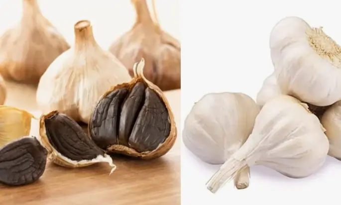 garlic