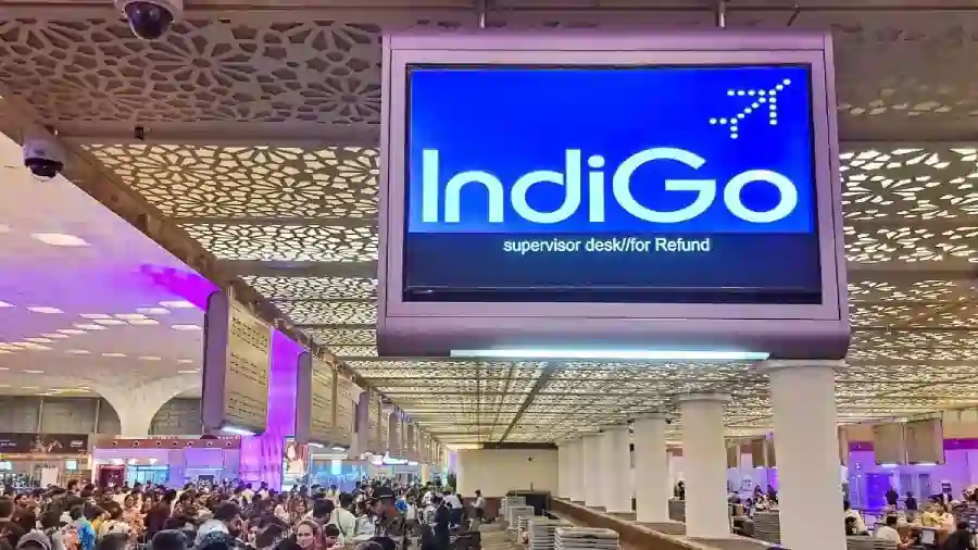indigo 1