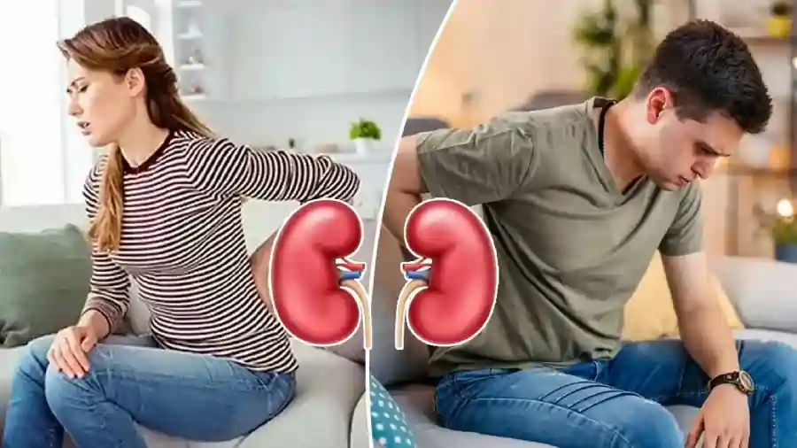 உடலின் இந்த பாகங்களில் வலி இருக்கா? உங்கள் சிறுநீரகங்கள் சேதமடைந்துள்ளது என்று அர்த்தம்.!