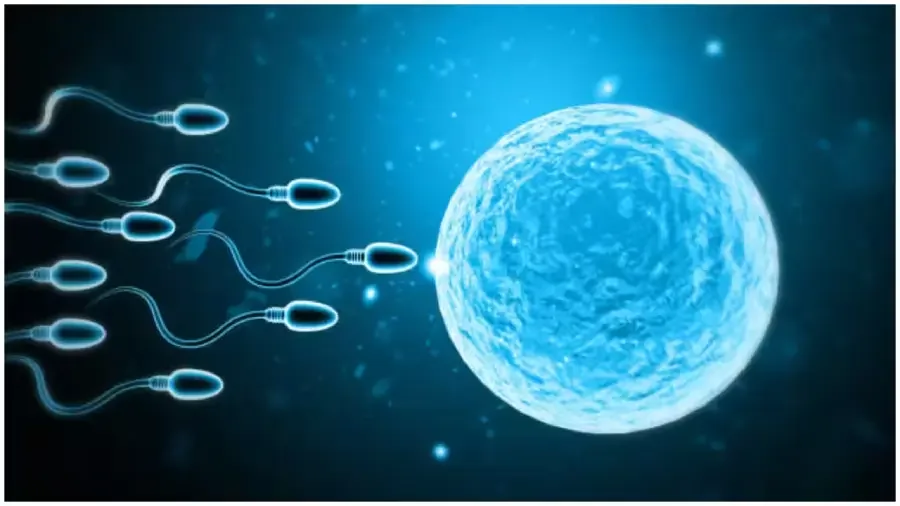 புற்றுநோயை உண்டாக்கும் மரபணு கோளாறுடன் விந்தணு தானம் செய்த நபர்..! 197 குழந்தைகளுக்கு ஆபத்து..!