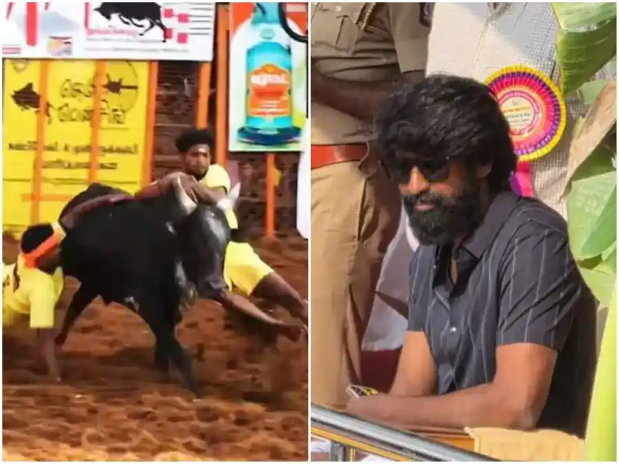 jallikattu soori