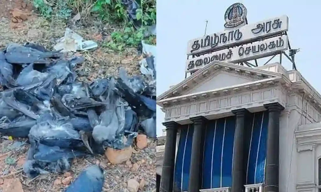 பறவைக் காய்ச்சல் தீவிரம்..!! 8 மாவட்டங்களுக்கு எச்சரிக்கை..!! கால்நடைத்துறை போட்ட புது ரூல்ஸ்..!!