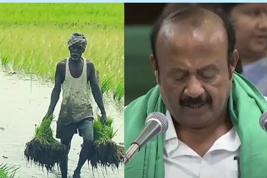 தமிழ்நாடு வேளாண் பட்ஜெட்.. முக்கிய அம்சங்கள் என்னென்ன? முழு விவரம் இதோ..!