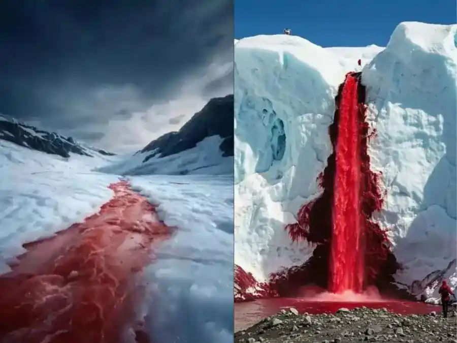 blood falls