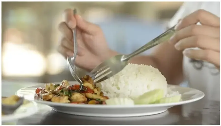 dinner food eating dinner food eating