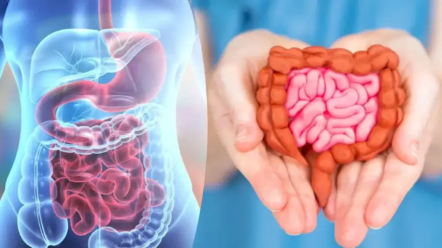 indigestion symptoms 1