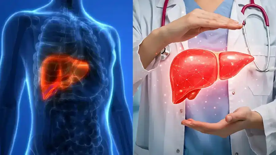 liver health 1 1 1 liver health 1 1 1