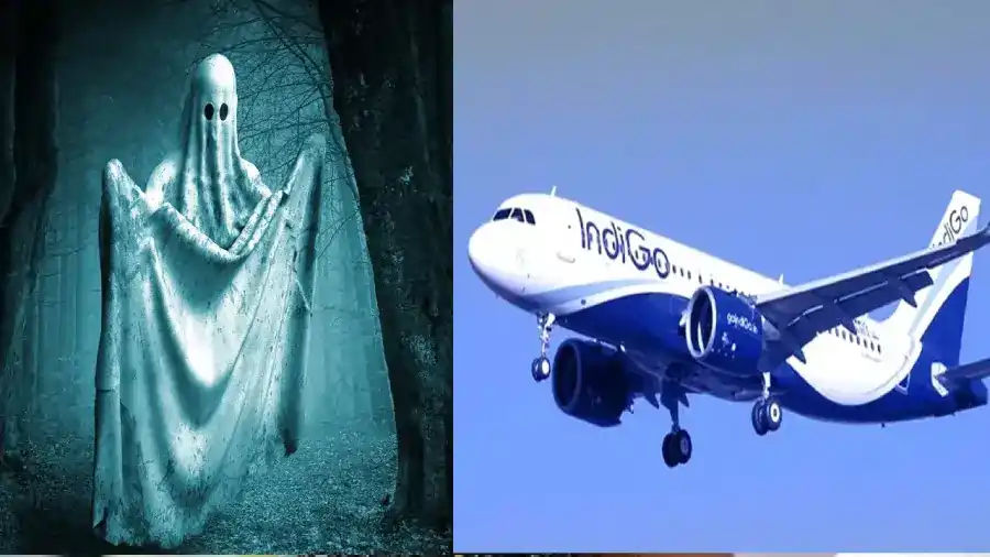 indigo passenger tries to open emergency exit door 1 2 indigo passenger tries to open emergency exit door 1 2