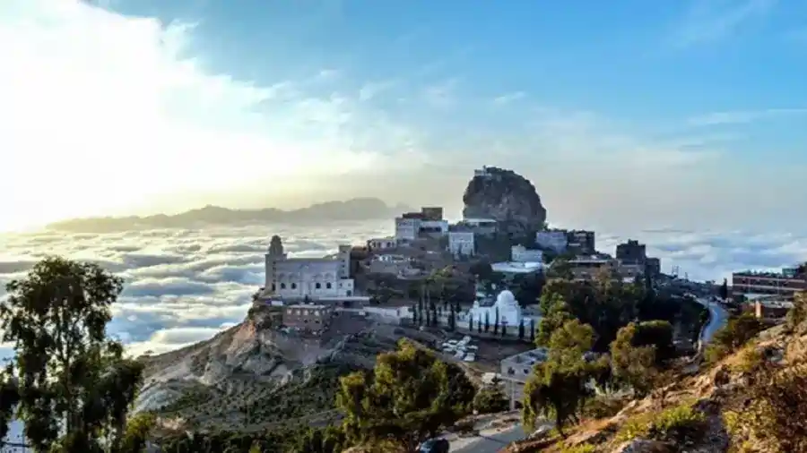 rare village rare village