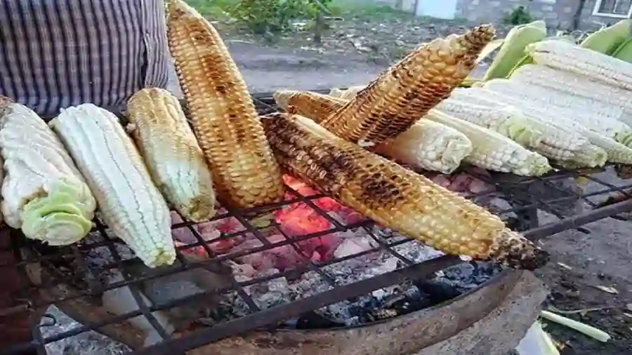 roasted corn 1 1 roasted corn 1 1