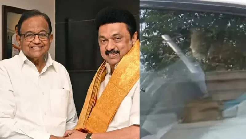 stalin p chidambaram